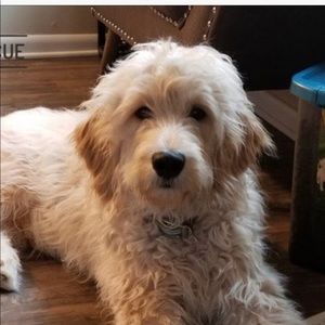 Meet your Posher, Kristie